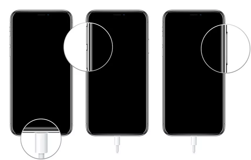 iPhone XR 卡在 Apple 徽标修复