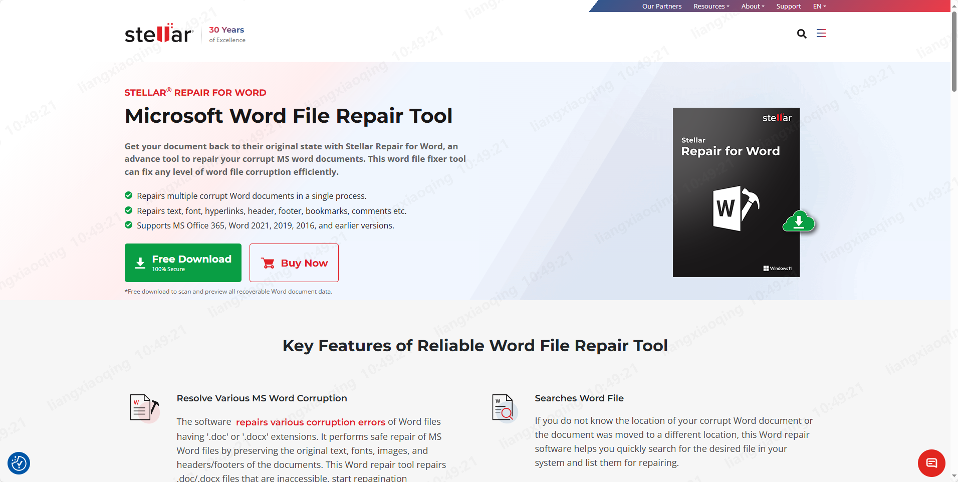 Stellar Repair for Word