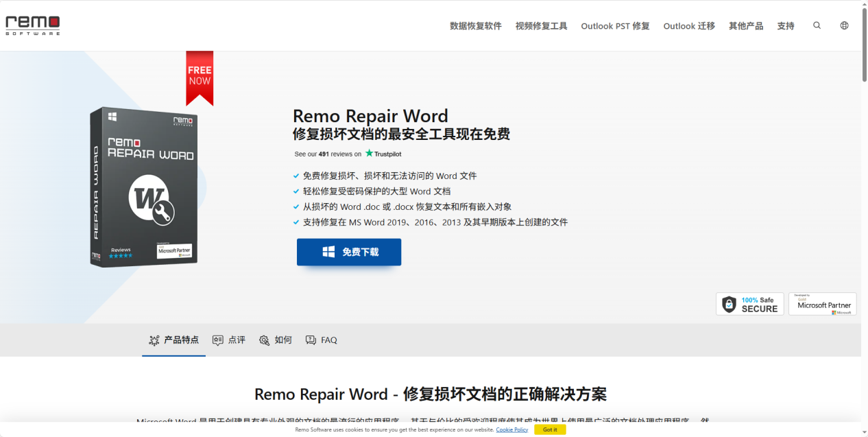 Remo Repair Word