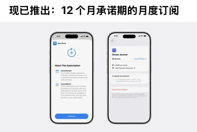 app store订阅优化