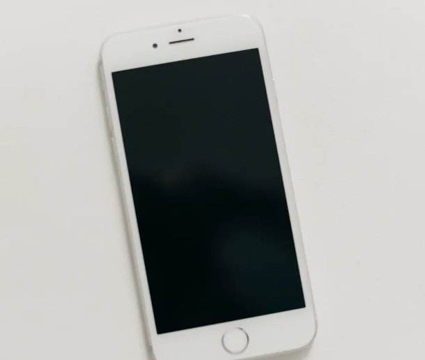 iPhone进入DFU和恢复模式