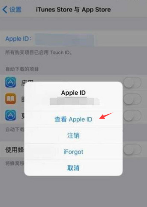 iPhone取消订阅办法